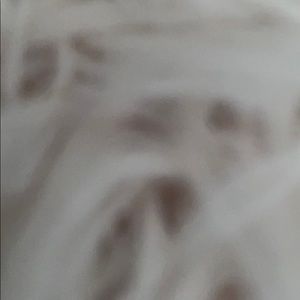 Meet your Posher, Jules